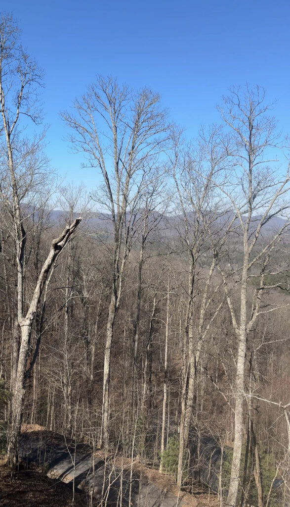 Blue Rdige Georgia, Real estate, homes and property in North Georgia and Western North Carolina.